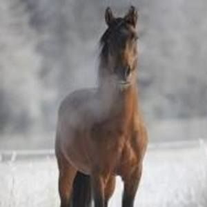 Meet your Posher, Vernette